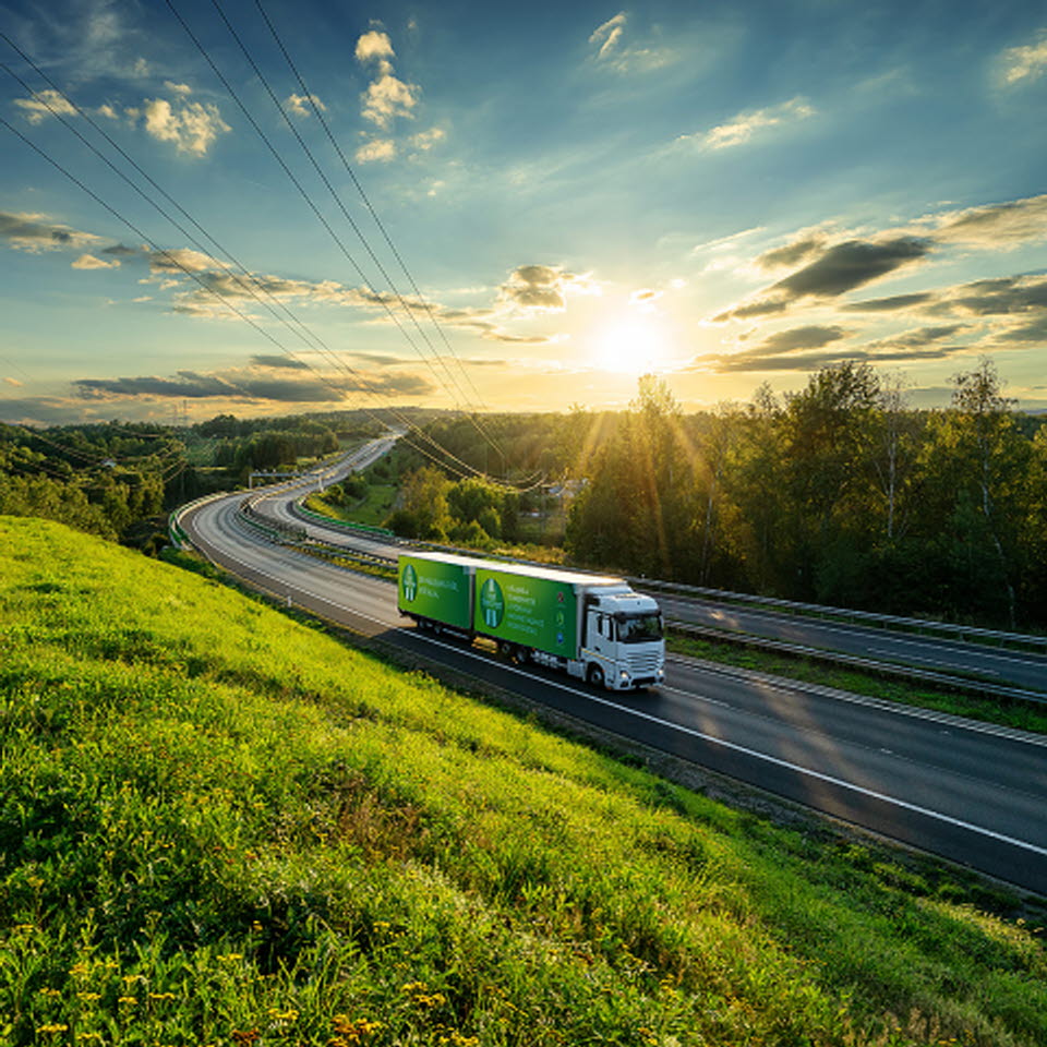 Fair Transport - collage