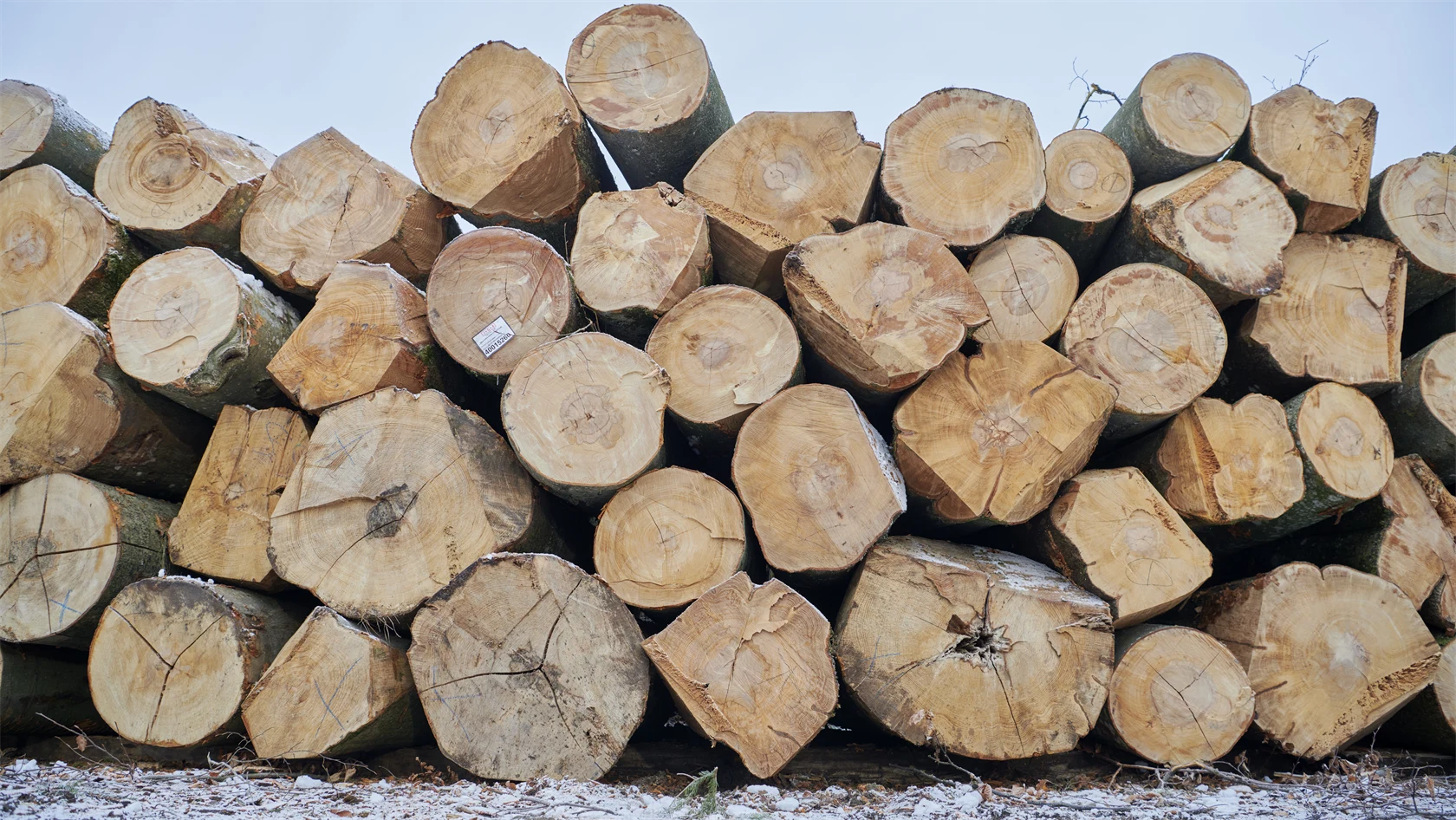 Stockar av skånsk bok.